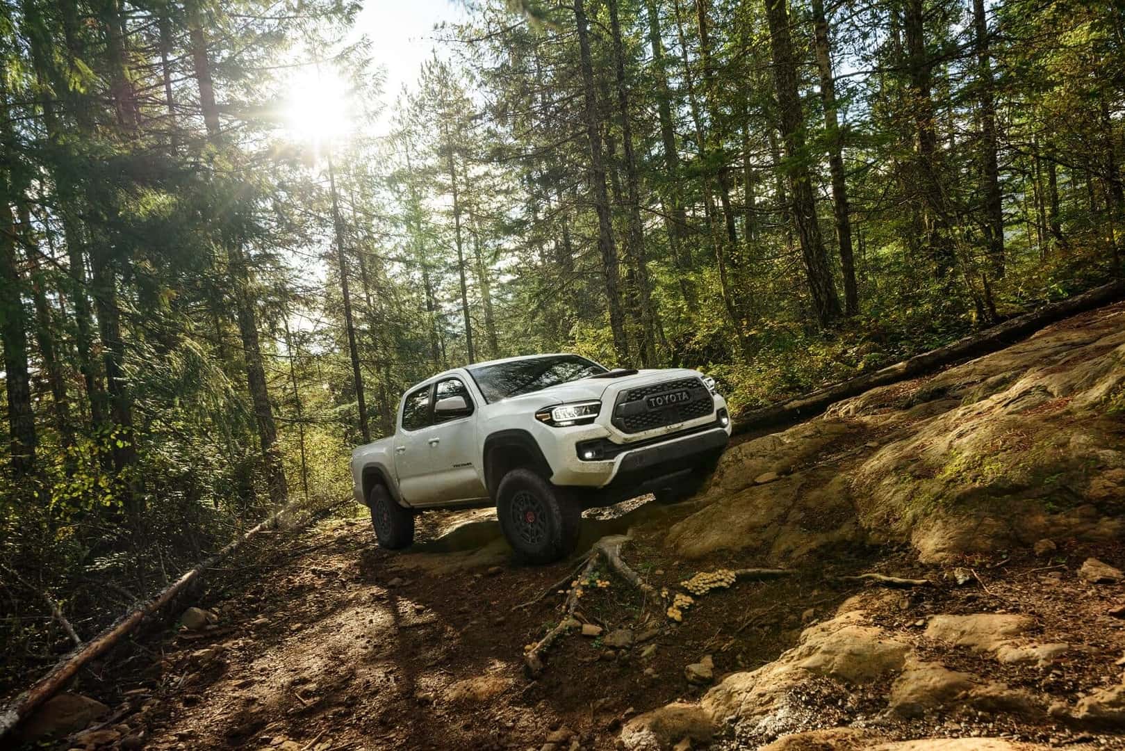 Toyota Tacoma Off Road