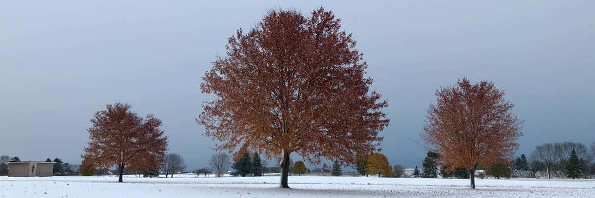 BMW Dealer Serving Mequon, WI