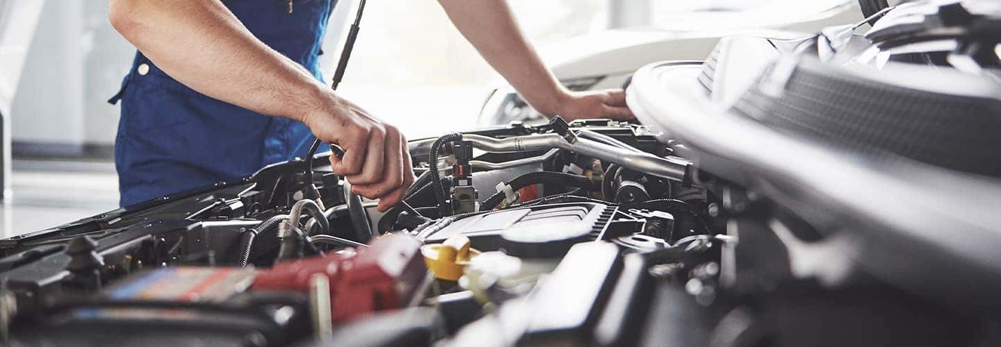 Factory-trained BMW technician