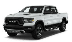 ram