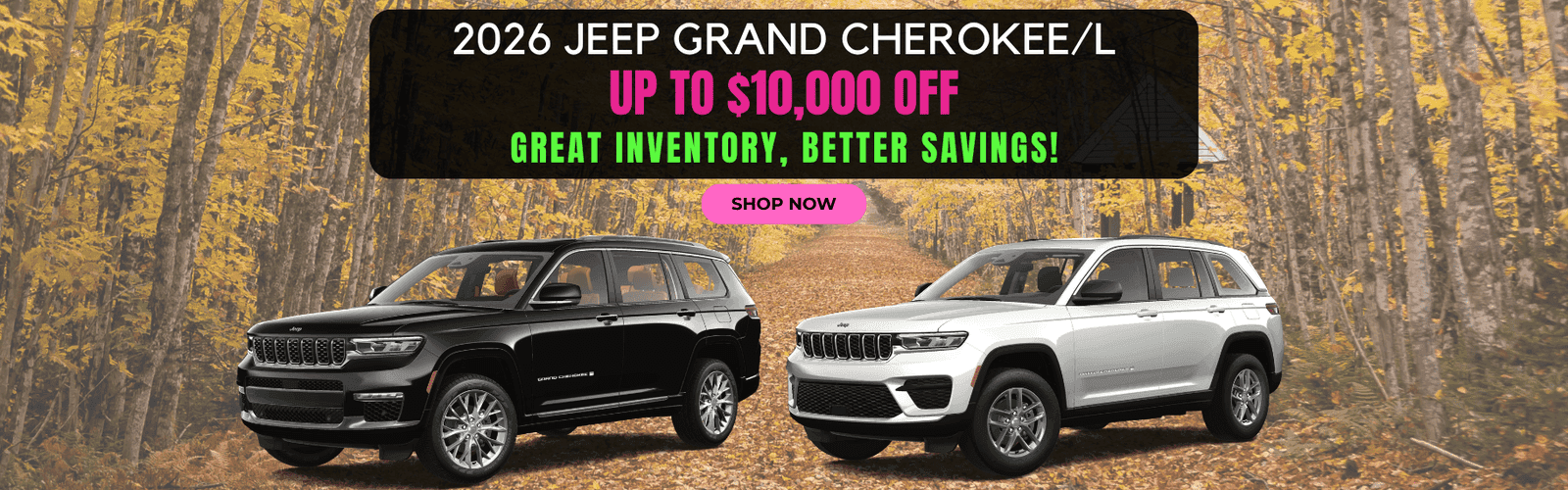Offer Banner