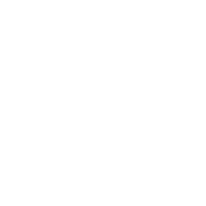 Secure Payment