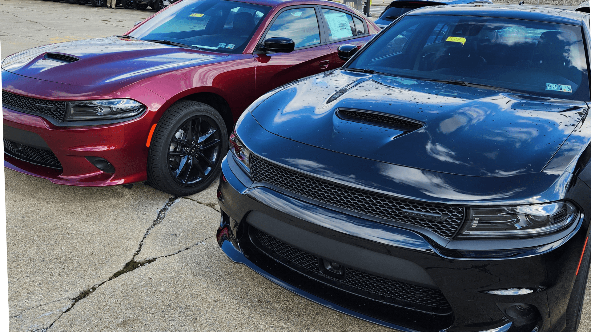 dodge charger