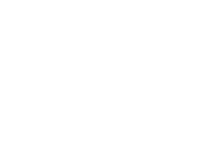 Porsche Logo