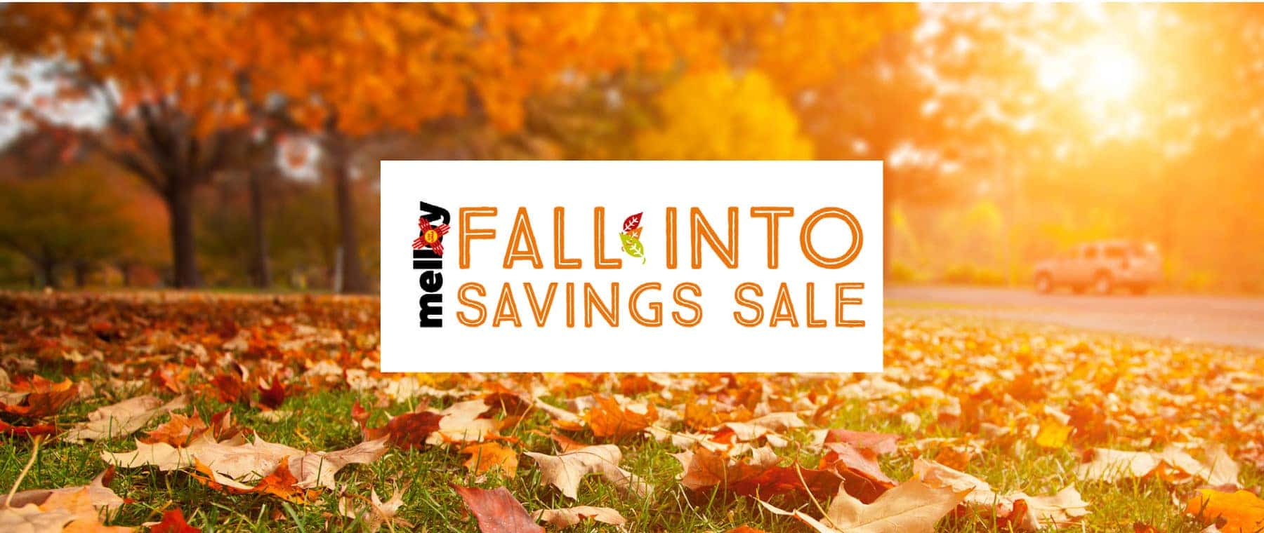 Fall Into Savings