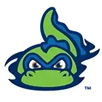 VTLM Logo
