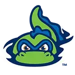 VTLM Logo