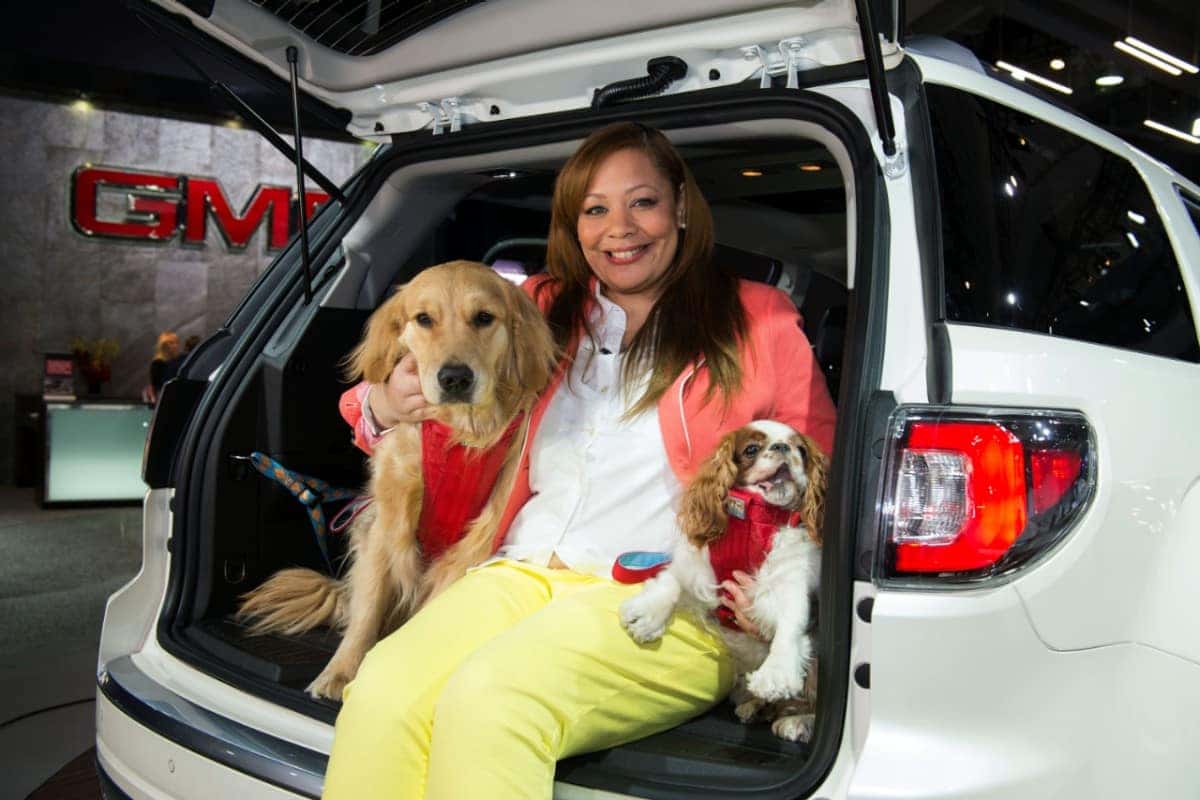 PetFriendly Car Care NYE Buick GMC PetFriendly Car Care
