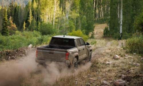 Bronze Oxide Toyota Tacoma 2025