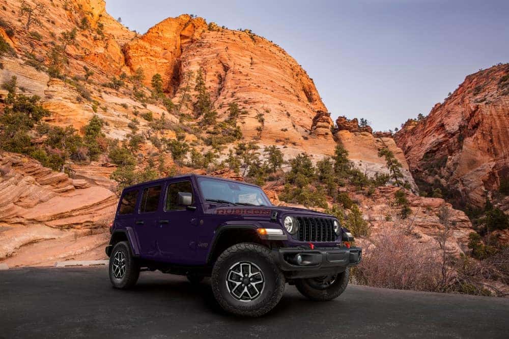 Rein Jeep Wrangler 2026