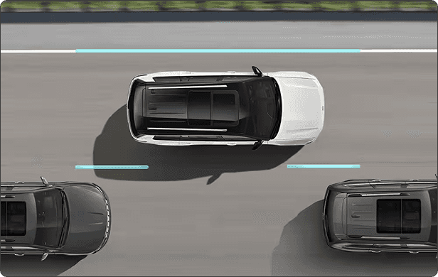 ACTIVE LANE MANAGEMENT