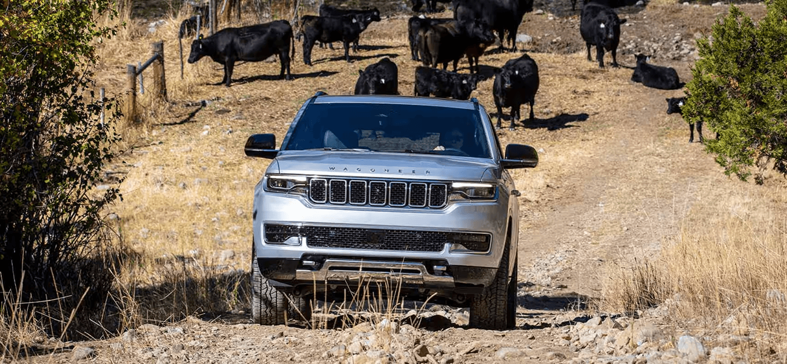 2025 WAGONEER CAPABILITY