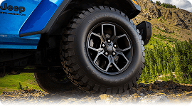 17-Inch Painted Black — Standard on Willys