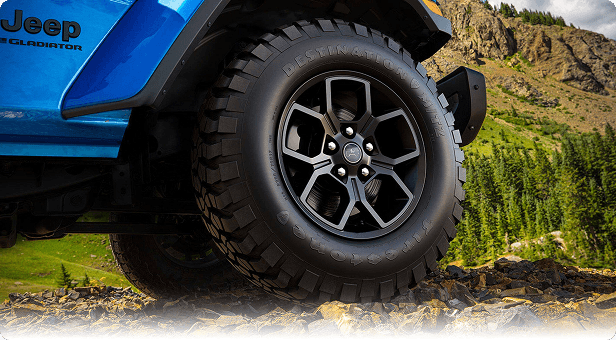 17-Inch Painted Black — Standard on Willys