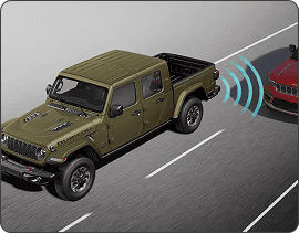 Blind Spot monitoring*