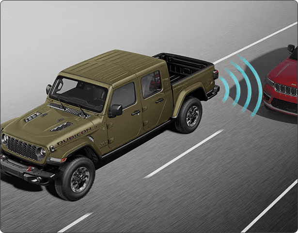 Blind Spot monitoring*
