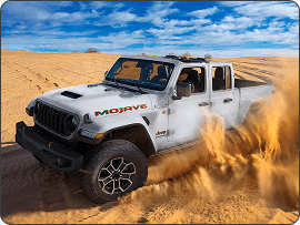 Desert Prowess