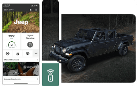 Remote Vehicle Operations*
