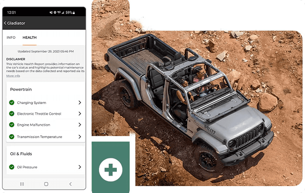Vehicle Health Report*