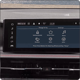 AMAZON ALEXA*