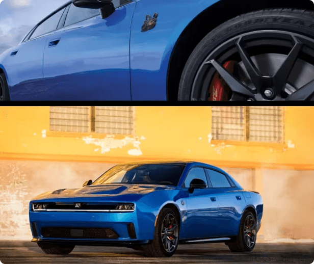 DAYTONA SCAT PACK