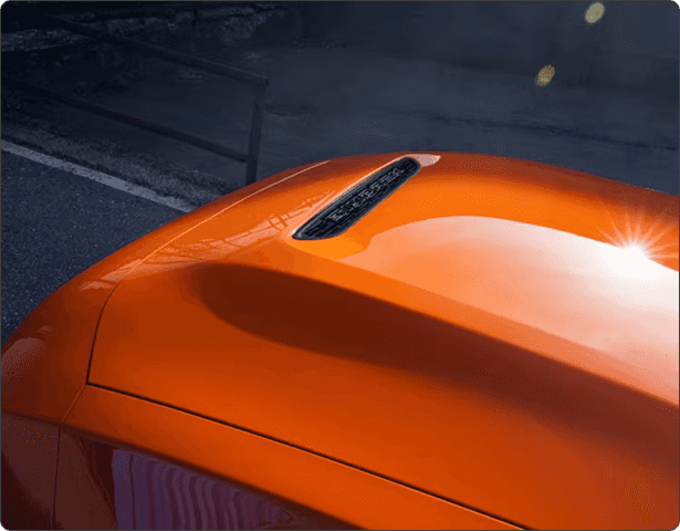 PERFORMANCE HOOD