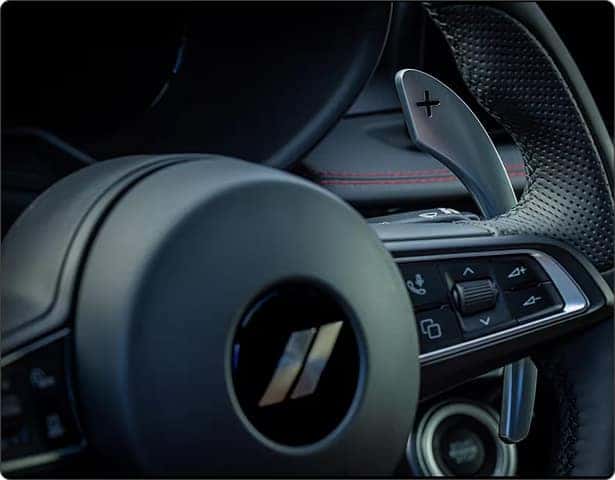 SEGMENT-EXCLUSIVE AVAILABLE PADDLE SHIFTERS