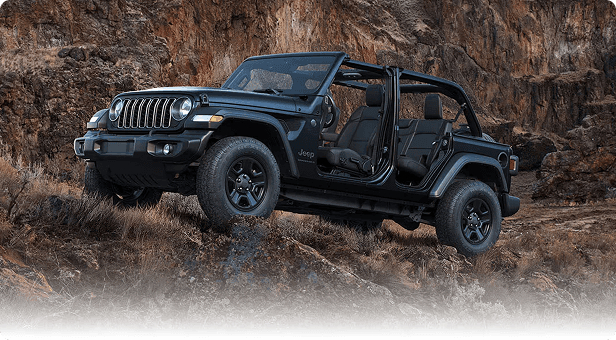 17-Inch Black Steel Styled Wheels