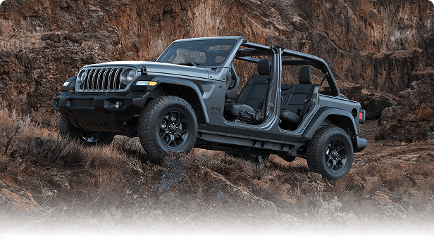 17-Inch Painted Black Wheels