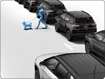 Pedestrian and Cyclist Detection
