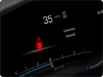 Drowsy Driver Detection