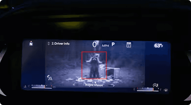Night Vision Camera