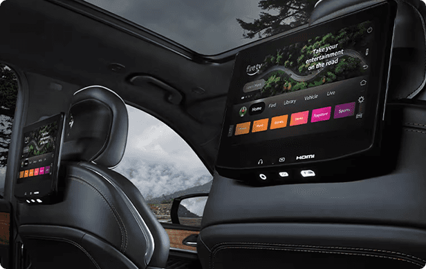 Rear Seat Entertainment