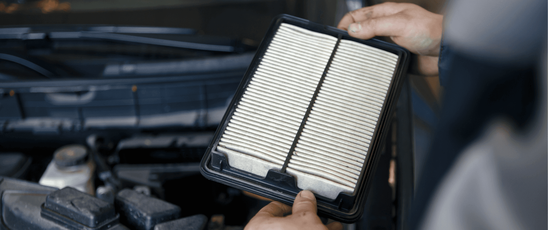 Cabin Air Filter Replacement Service