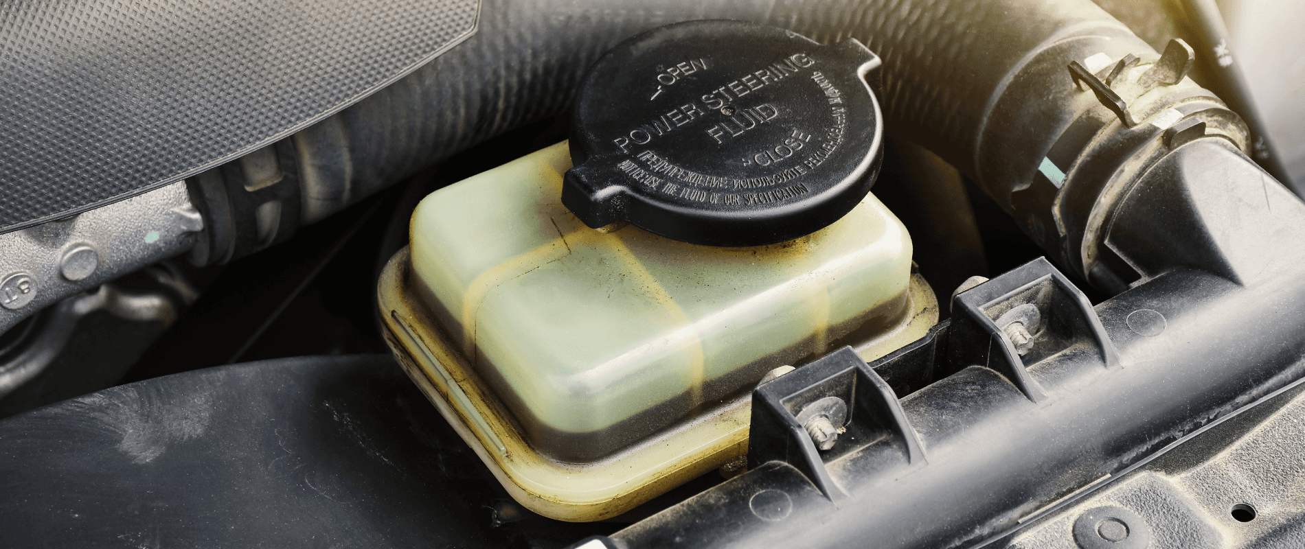 Power Steering Fluid Exchange