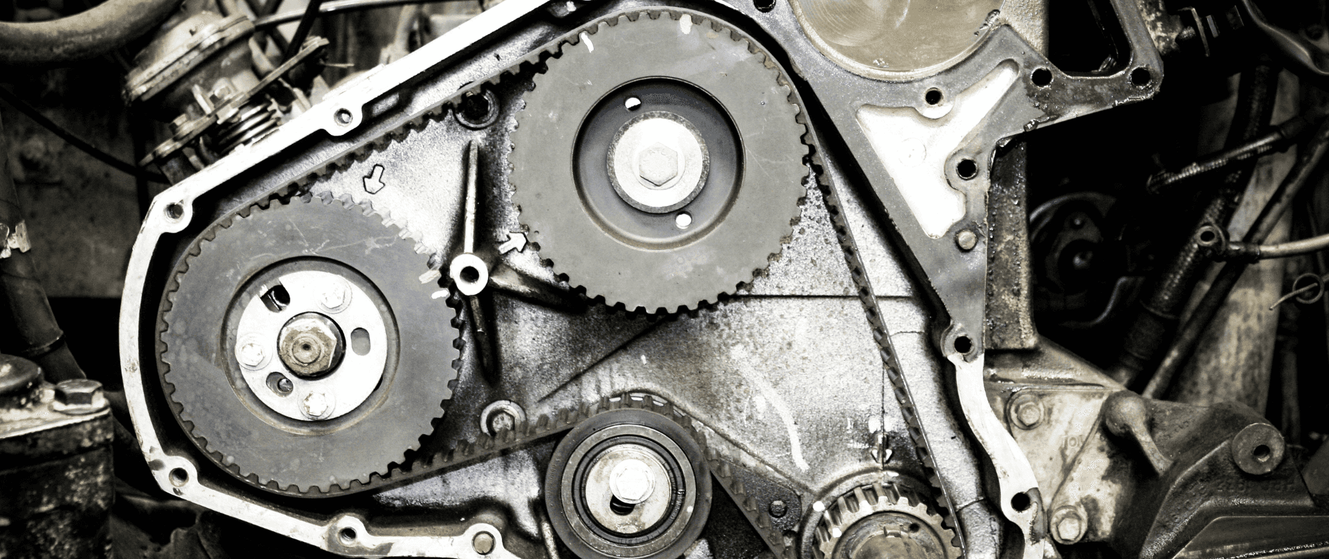 Timing Belt Service