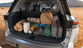 Cargo Space