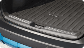 Illuminated Cargo Scuff Plates