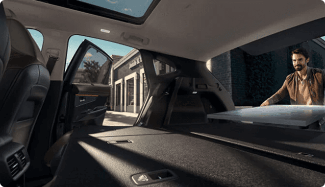 Cargo Area