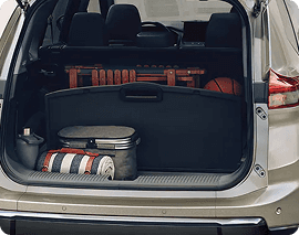 Divide-N-Hide Cargo System
