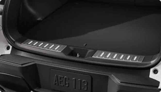 Illuminated Cargo Scuff Plates