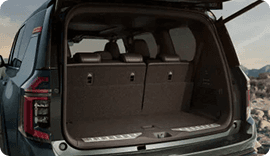 Illuminated Cargo Scuff Plates