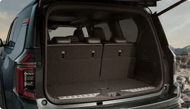 Illuminated Cargo Scuff Plates