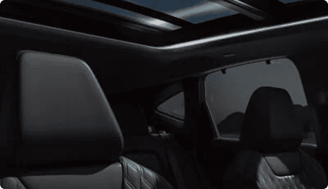 Panoramic Illuminated Headliner