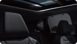 Panoramic Illuminated Headliner
