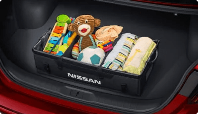 Removable Tote Cargo Organizer