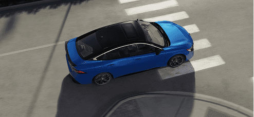 Sentra gallery image 4