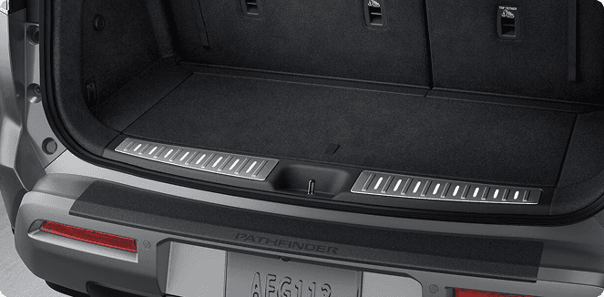 Illuminated Cargo Scuff Plates