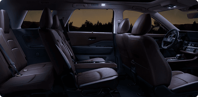 Panoramic Illuminated Headliner
