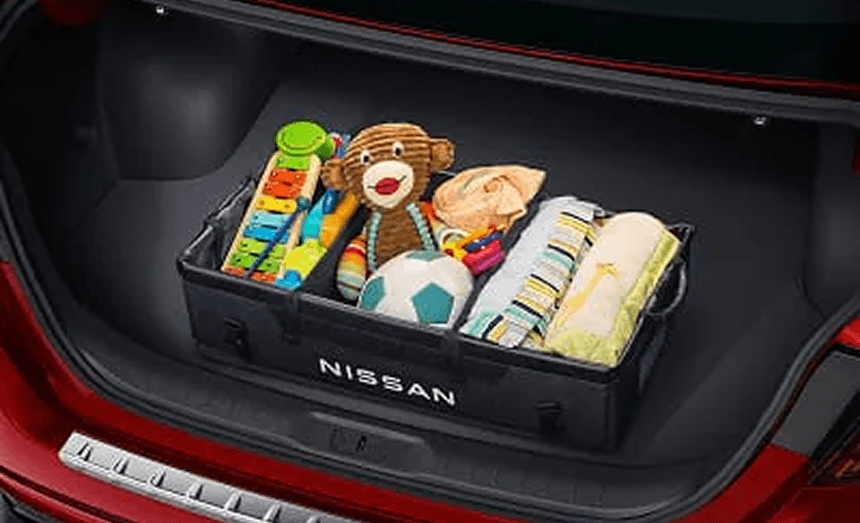 Cargo Organizer